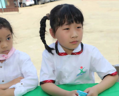 九江市外國語實驗小學到禮淶景區開展 踐行勞動教育,傳承農耕文化 主題活動