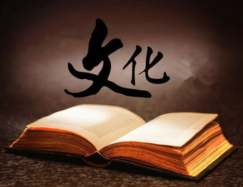 從滴滴殺人案,看傳統(tǒng)文化的缺失