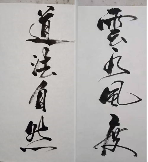 廣德市 只有小學(xué)文化的農(nóng)民,寫書法僅一年多就無師自通