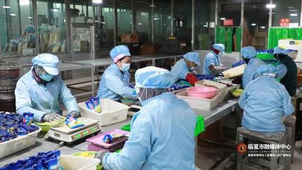 【甘快看】春節將至訂單增 臨夏市鄉村就業工廠奮力沖刺"開門紅"
