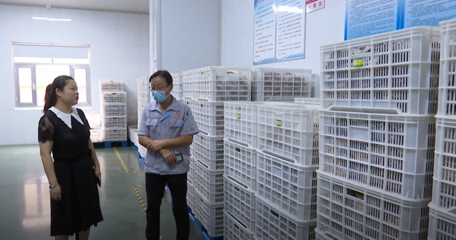 濰坊高密開展透明工廠體驗日活動