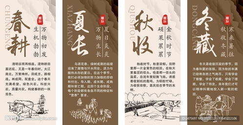 農(nóng)耕文化設(shè)計(jì)圖