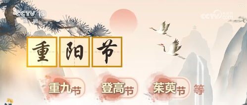 文化中國行 何以重陽 180秒看 新 變